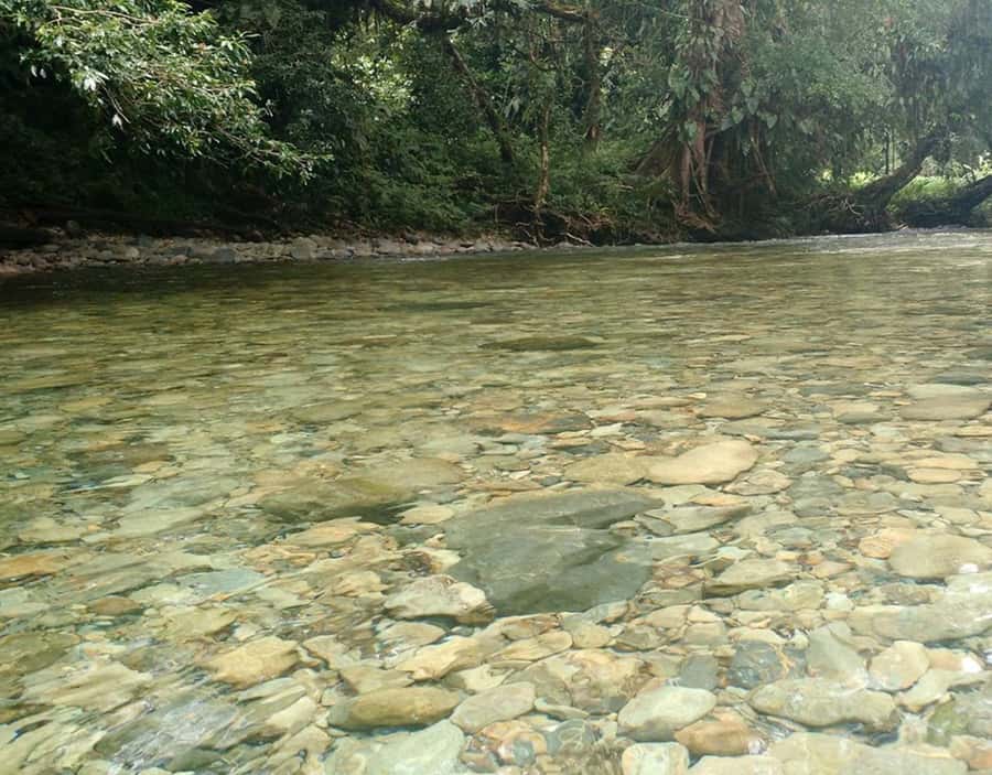 Cali: San Cipriano & River Adventure Day Tour - What $123 buys you