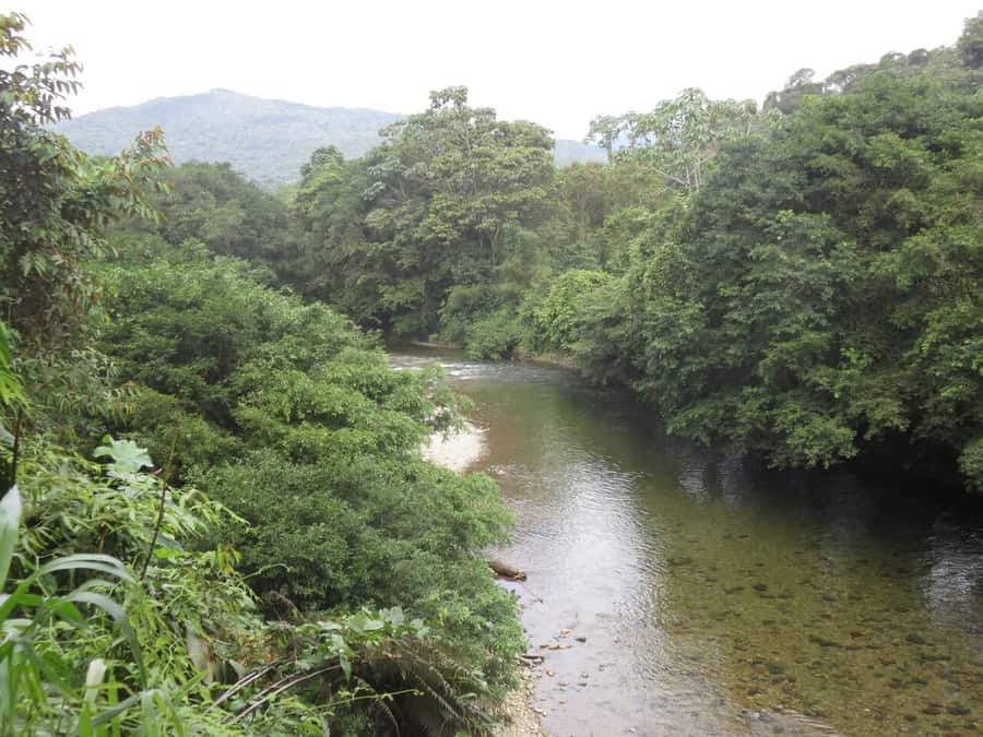 Cali: San Cipriano & River Adventure Day Tour - Who will enjoy this day most