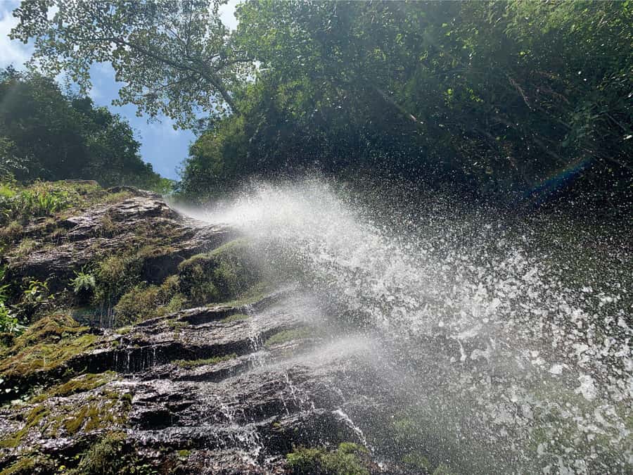 Cali: Tour of Waterfall in Pance River - Chorrera del Indio - Choosing the optional Pance park stop