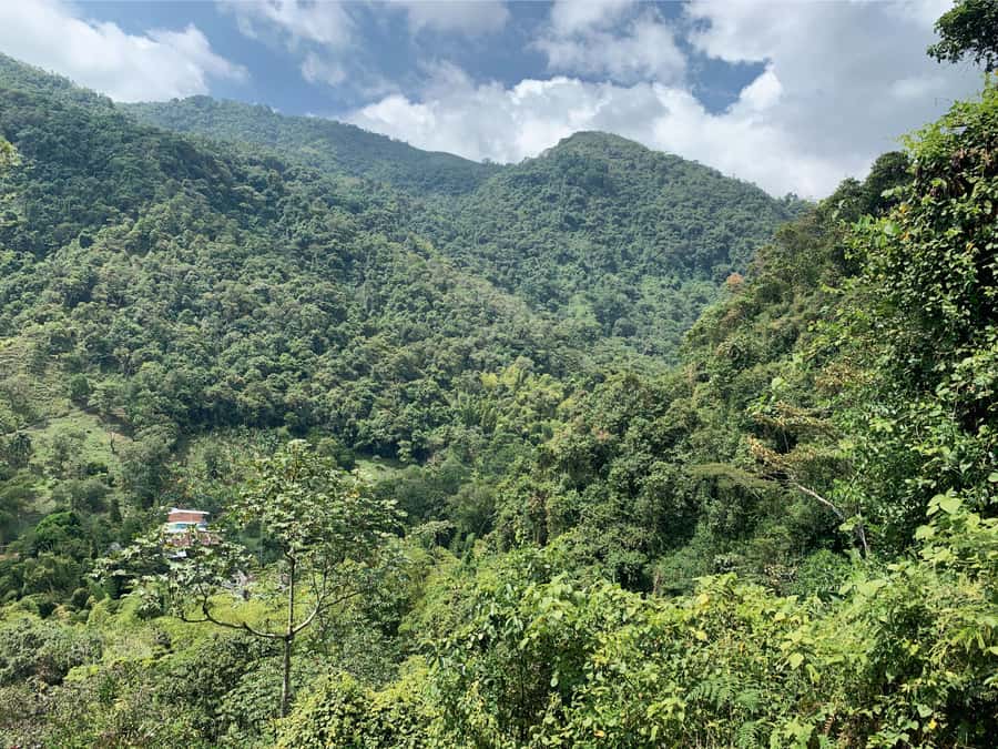 Cali: Tour of Waterfall in Pance River - Chorrera del Indio - How Mateo changes the experience