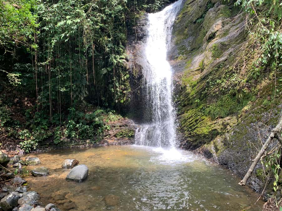 Cali: Tour of Waterfall in Pance River - Chorrera del Indio - Booking details worth knowing