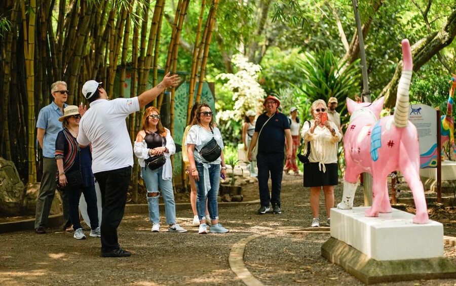 Cali: Walking tour of the historic center - Who should book this Cali walking tour?