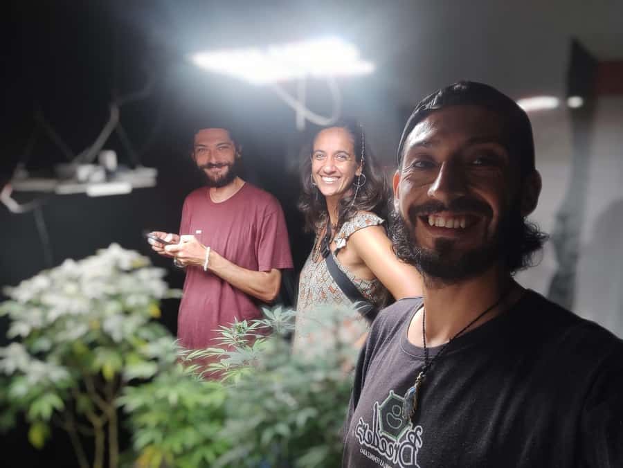 CANNABIS EXPERIENCE - Inside the 420 terrace in Salento