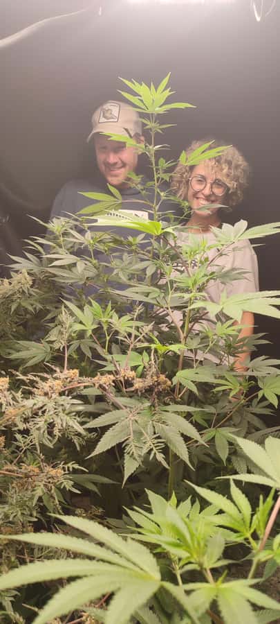 CANNABIS EXPERIENCE - Who will enjoy this experience