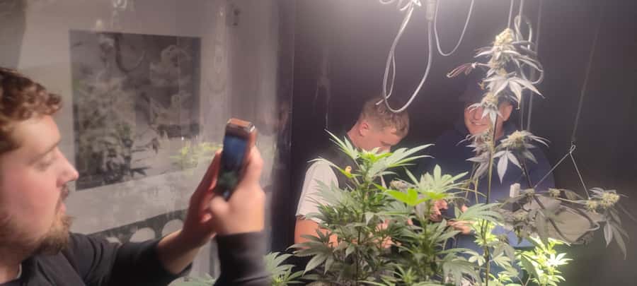 CANNABIS EXPERIENCE - My practical take before booking