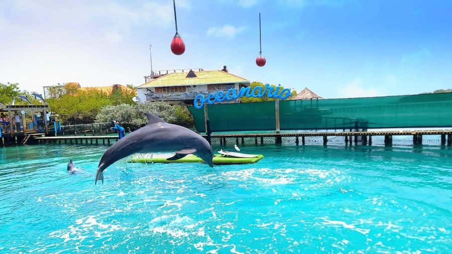 CARTAGENA: 4 islands by sport boat +oceanarium tickets - Quick points before you book