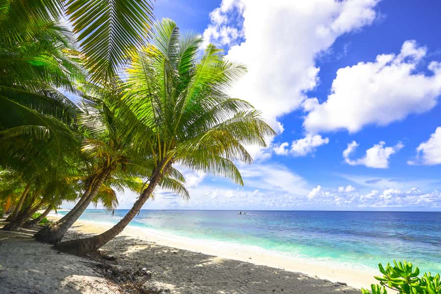 Cartagena: 5 Islands Boat Tour with Lunch, Snorkeling, & Bar - Snorkeling at San Martín de Pajarales