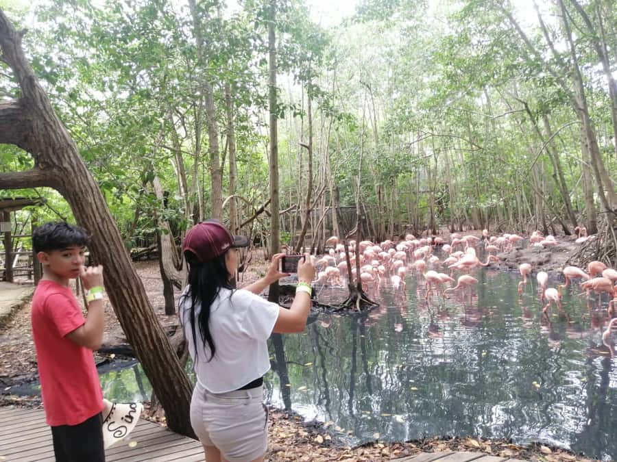 Cartagena: Aviary National Park Tour with Hotel Pickup - Key points to know before you book