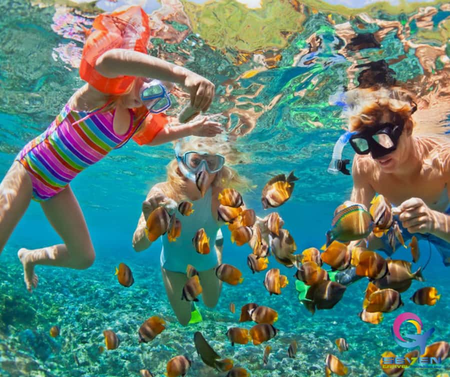 Cartagena: BARÚ Playa blanca with SNORKELING INCLUDED - What this Barú day is really like