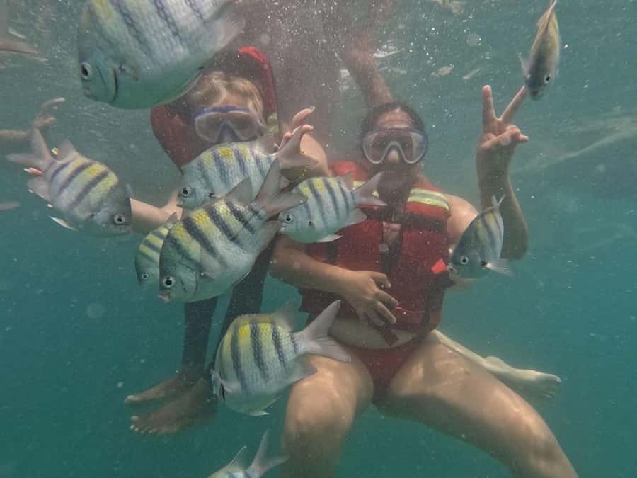Cartagena: BARÚ Playa blanca with SNORKELING INCLUDED - The 75-minute ride to Barú