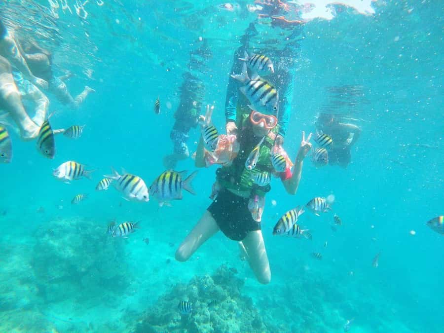 Cartagena: BARÚ Playa blanca with SNORKELING INCLUDED - Playa Blanca and the two-hour lunch stop