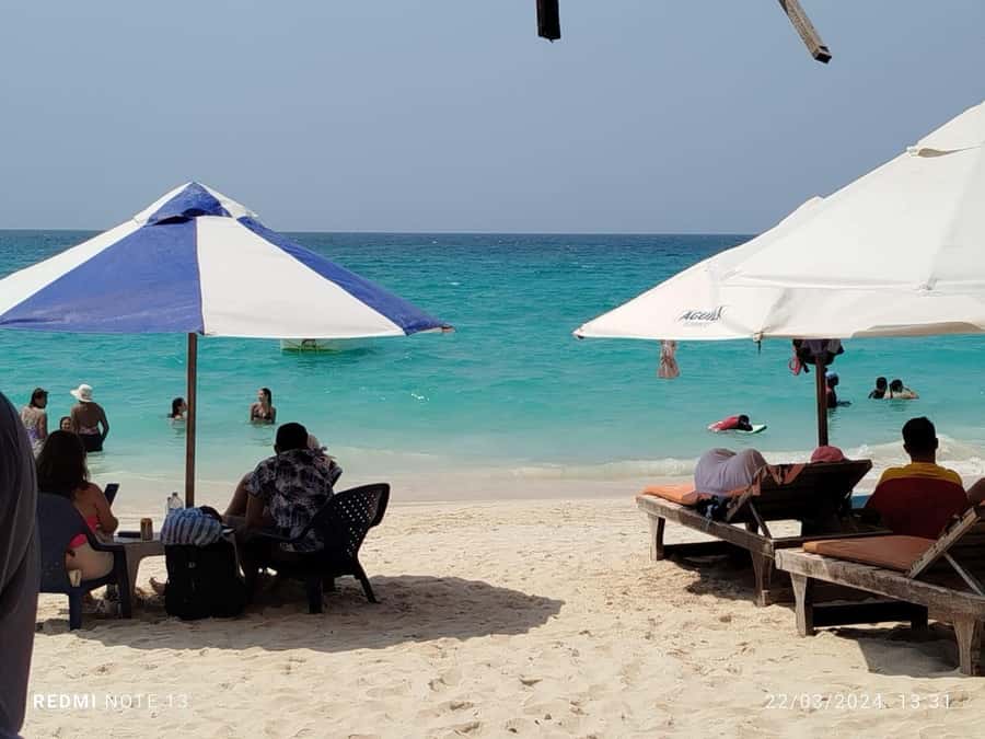Cartagena: BARÚ Playa blanca with SNORKELING INCLUDED - Who will enjoy this outing most?