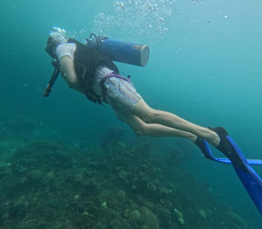 Cartagena: Basic Diving for beginners in Rosario Islands - What One Hour Underwater Feels Like for a Beginner