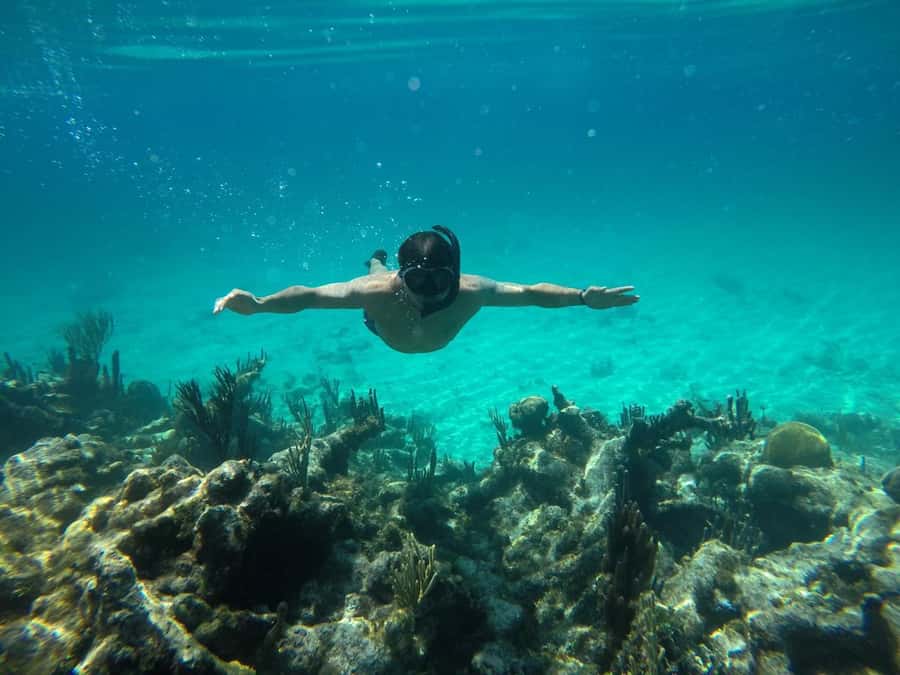 Cartagena: Basic Diving for beginners in Rosario Islands - Playa Blanca Before the Boat