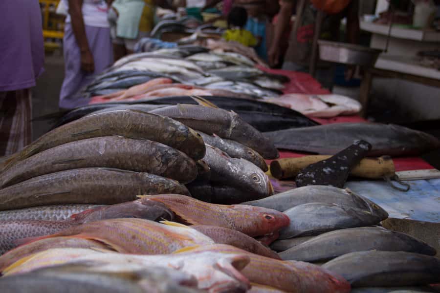 Cartagena Bazurto Market: Authentic Food & Culture Tour - FAQ