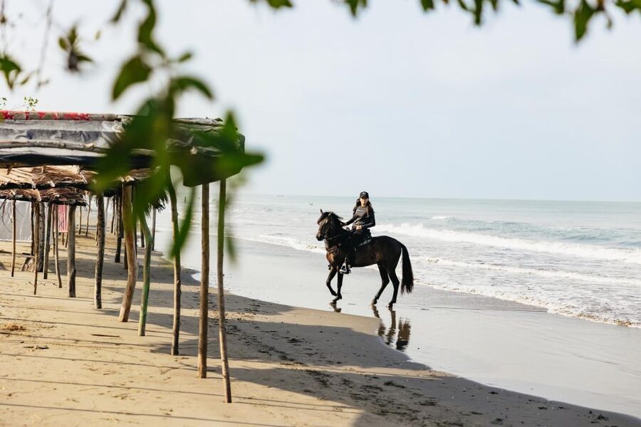 Cartagena: Beach Horse Ride and Colombian Equestrian Culture - Who will enjoy this most?