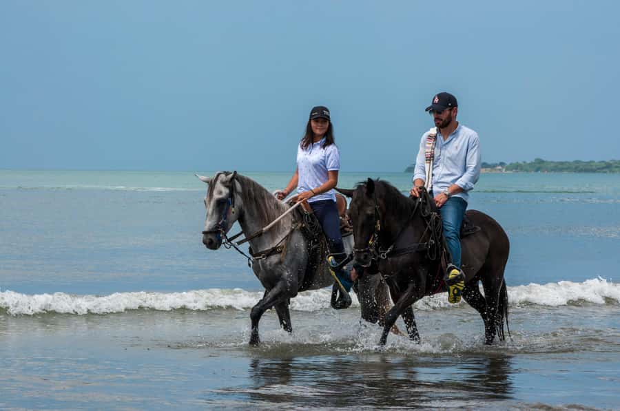 Cartagena: Beach Horse Ride and Colombian Equestrian Culture - Getting matched with the right horse