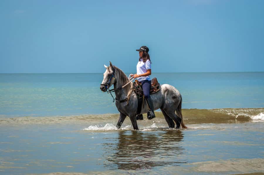 Cartagena: Beach Horse Ride and Colombian Equestrian Culture - Riding beside the waves