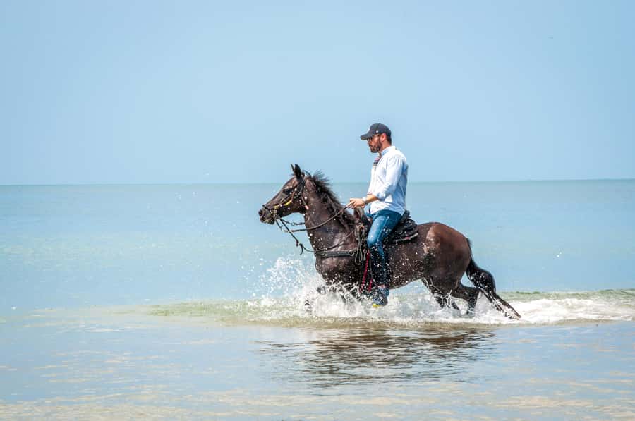 Cartagena: Beach Horse Ride and Colombian Equestrian Culture - Is $186 a fair price?
