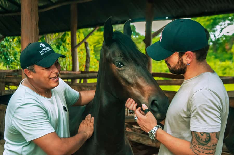 Cartagena: Beach Horse Ride and Colombian Equestrian Culture - Watching the Paso Fino horses perform