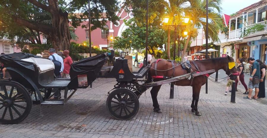Cartagena: COLLONIAL HORSE DRAWN CARRIAGE by THE OLD CITY - Key points before you book