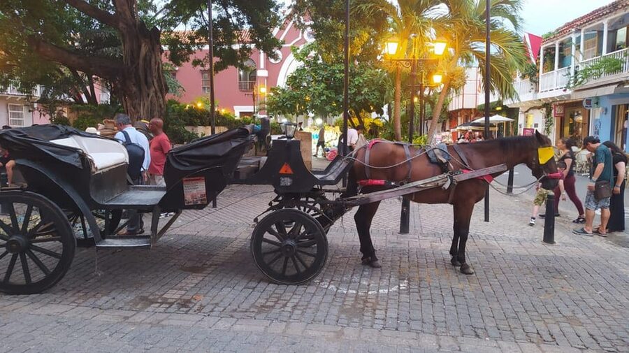 Cartagena: COLLONIAL HORSE DRAWN CARRIAGE by THE OLD CITY - Why a carriage ride works well in Cartagena’s Old City