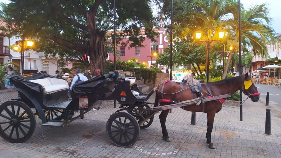 Cartagena: COLLONIAL HORSE DRAWN CARRIAGE by THE OLD CITY - Cartagena Cathedral from the carriage route