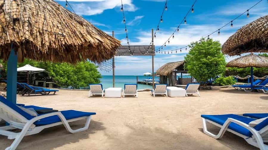 Cartagena: Coralina Island Day Trip with Lunch - Key points at a glance