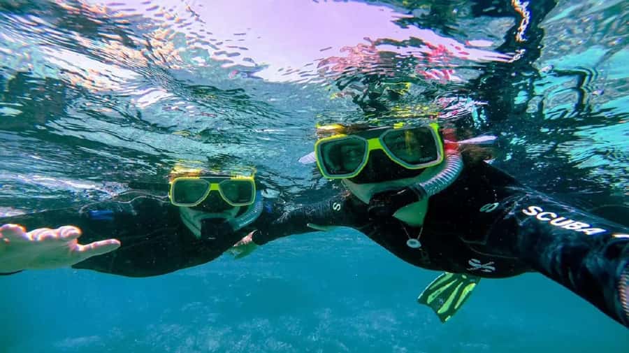 Cartagena: Coralina Island Day Trip with Lunch - Should you book this day trip?