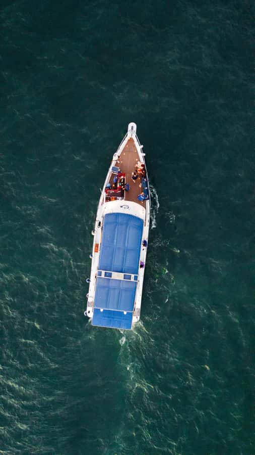 Cartagena: Cruise by the Bay with Dinner and Wine - Night views of Manga, Getsemani, and the port