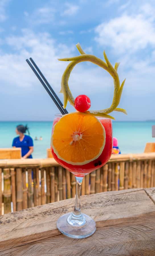 Cartagena: Day Trip Aviary and enjoy Playa Blanca by bus - Key points before you book