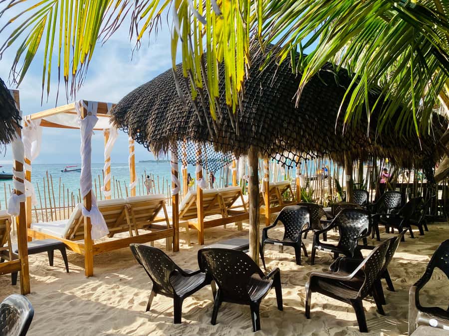 Cartagena: Day Trip Aviary and enjoy Playa Blanca by bus - Two Barú experiences in one day