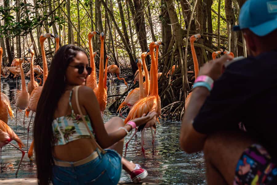Cartagena: Day Trip Aviary and enjoy Playa Blanca by bus - The bus ride to the National Aviary