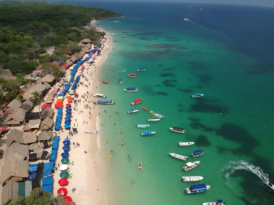 Cartagena: Daytour Aviary and Playa blanca, Barú by bus! - The bus ride to the National Aviary