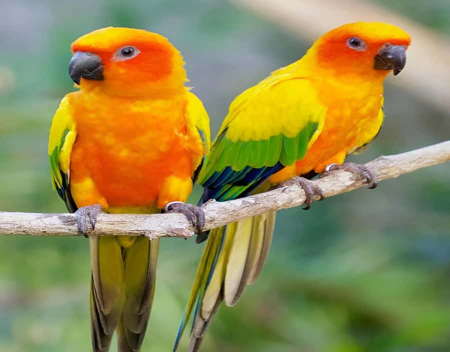 Cartagena: Daytour Aviary and Playa blanca, Barú by bus! - Lunch and the first look at Playa Blanca
