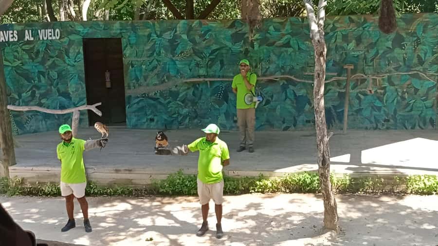 Cartagena: Daytour Aviary and Playa blanca, Barú by bus! - Morning pickup from Cartagena