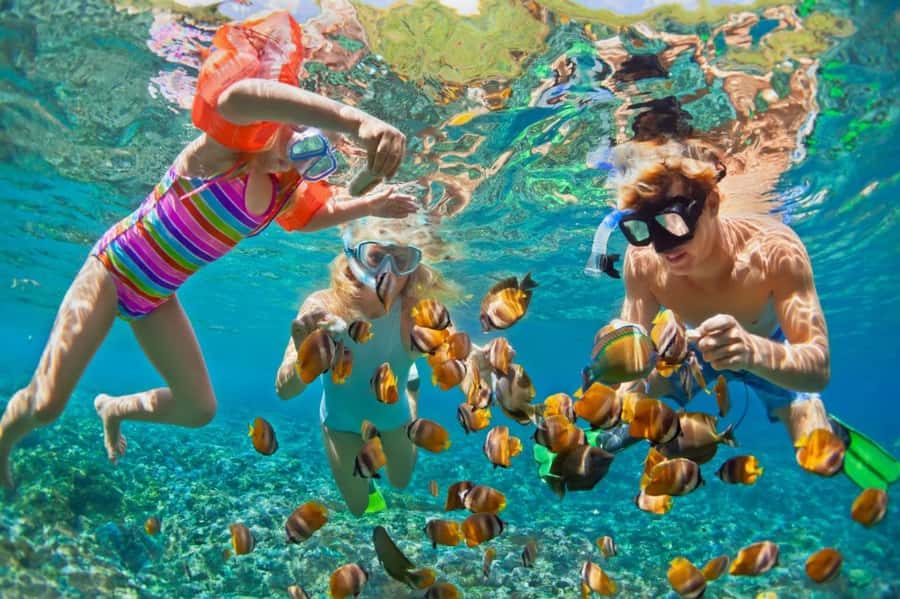 Cartagena de Indias: Pasadia 5 Islas del rosario and Baru boat trip - Isla Grande and the long middle stretch