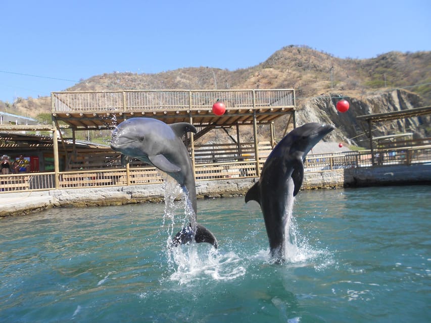 Cartagena: Ecoplan on Barú, Aviary and Oceanarium in one day - Is $68 a fair price?