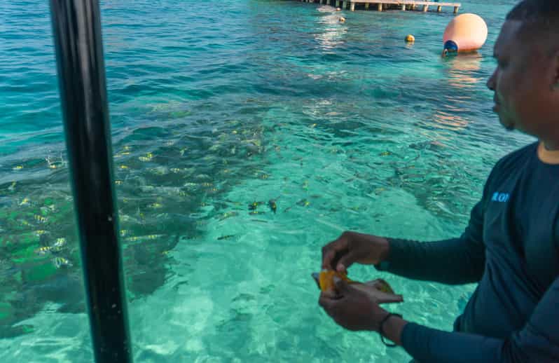 Cartagena: Ecoplan on Barú, Aviary and Oceanarium in one day - Reaching Barú and choosing your water activity