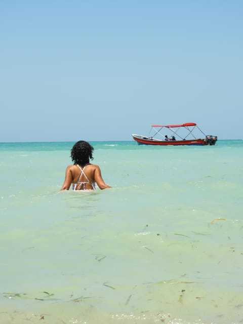Cartagena: Ecoplan on Barú, Aviary and Oceanarium in one day - Barú beach, lunch, and the practical reality