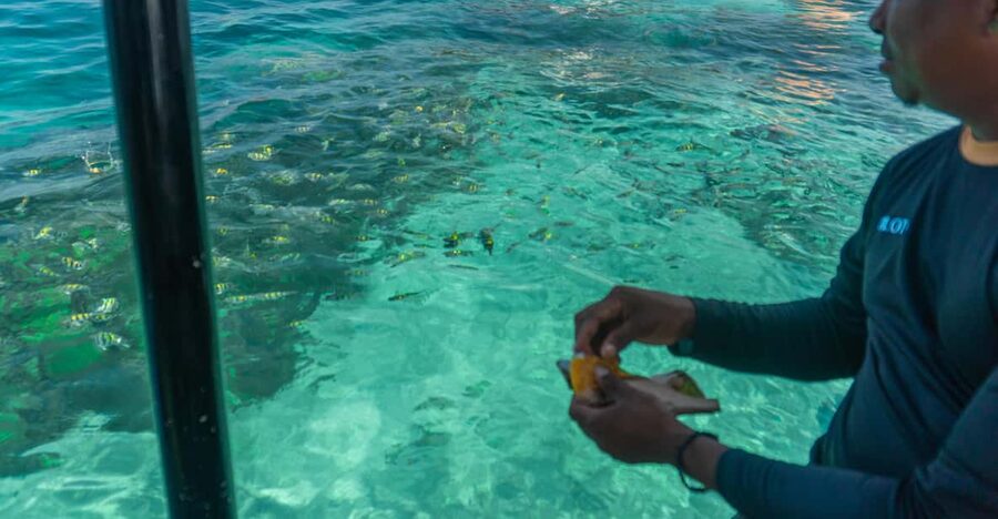 Cartagena: Ecoplan on Barú, Aviary and Oceanarium in one day - The National Aviary, the day’s strongest attraction