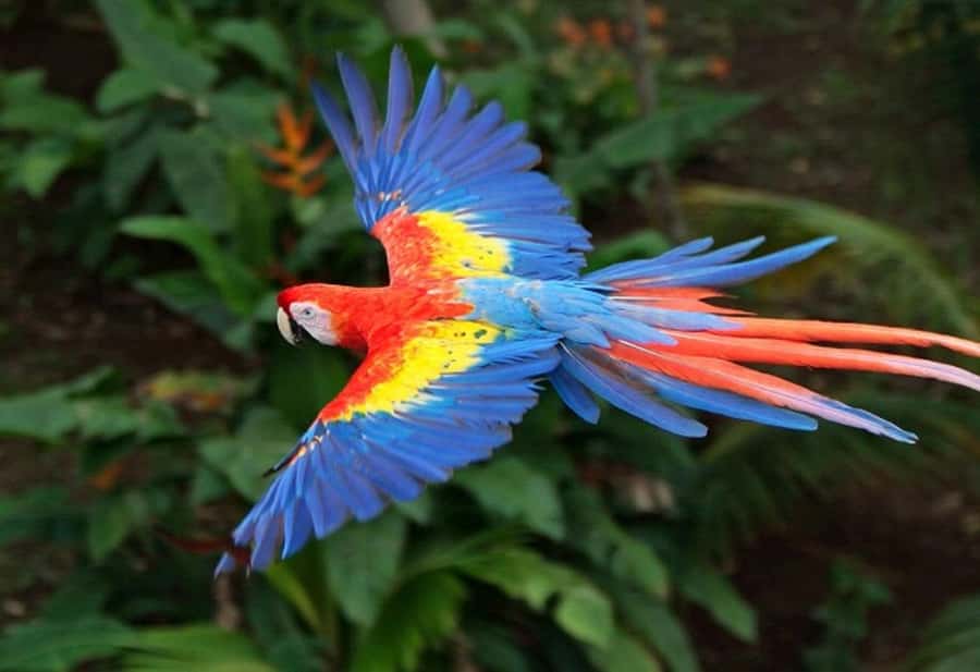 Cartagena: Entrance to the AVIARY with TRANSFER INCLUDED - The return to Cartagena and the real timing
