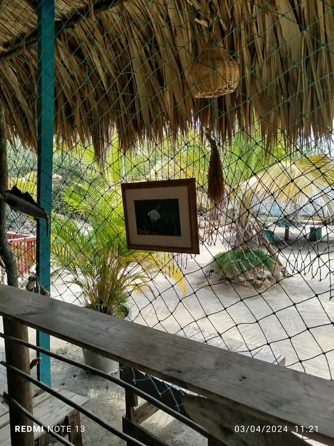 Cartagena: FISHERMEN'S ISLAND IN THE MANGROVES by canoe - From Cartagena to La Boquilla’s mangrove edge