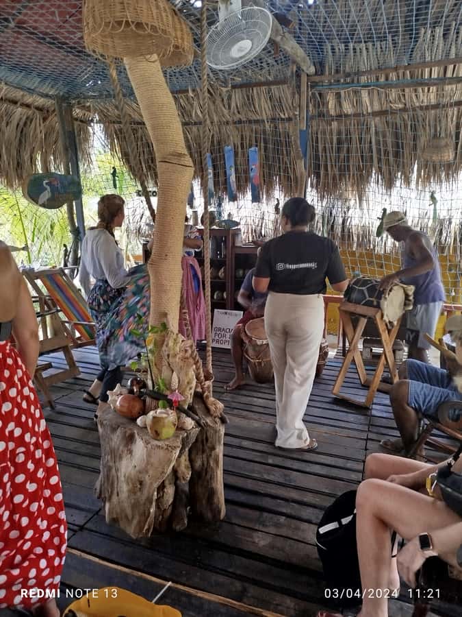 Cartagena: FISHERMEN'S ISLAND IN THE MANGROVES by canoe - What the mangrove guide adds
