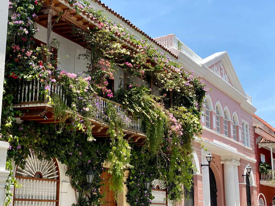 Cartagena: History, Culture & Coffee Experience - The Clock Tower and San Pedro Claver Church