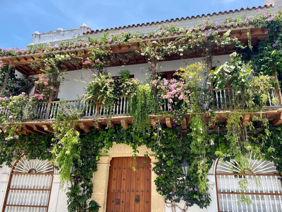 Cartagena: History, Culture & Coffee Experience - Getsemaní, where the tour finishes on foot