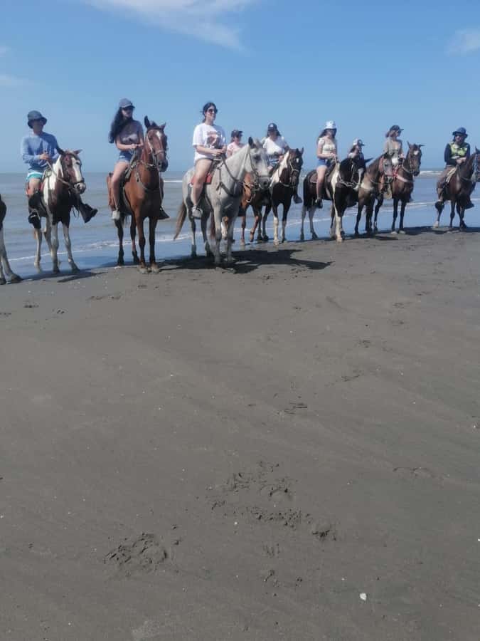 Cartagena: Horse Riding on the Beach with Photos and Lunch - A beach ride outside Cartagena’s old center
