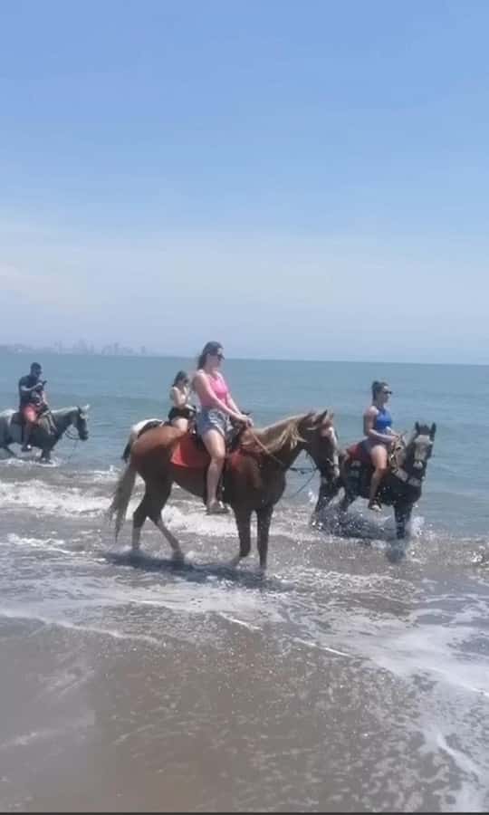 Cartagena: Horse Riding on the Beach with Photos and Lunch - Meeting the horseman and choosing your pace