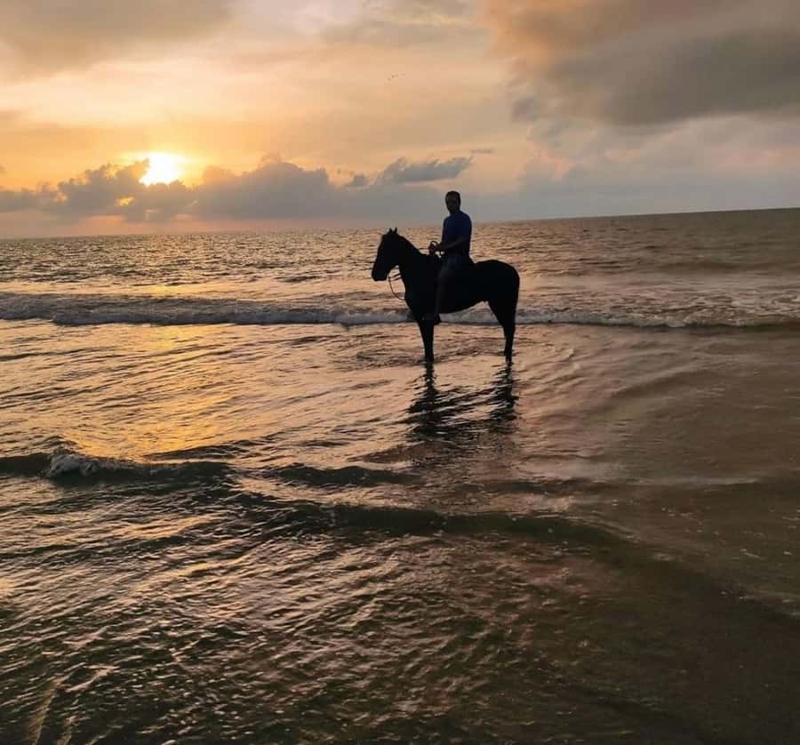 Cartagena: Horseback Ridding Excursion on the Beach - One hour along the Caribbean shore