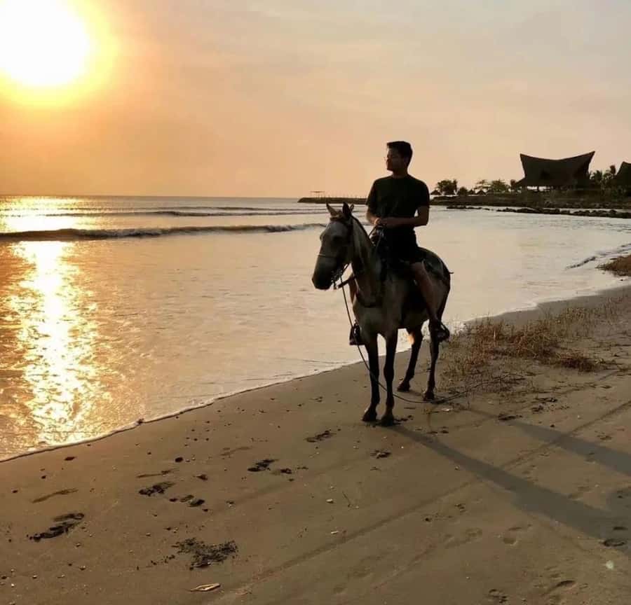 Cartagena: Horseback Ridding Excursion on the Beach - Meeting the horses and getting ready to ride